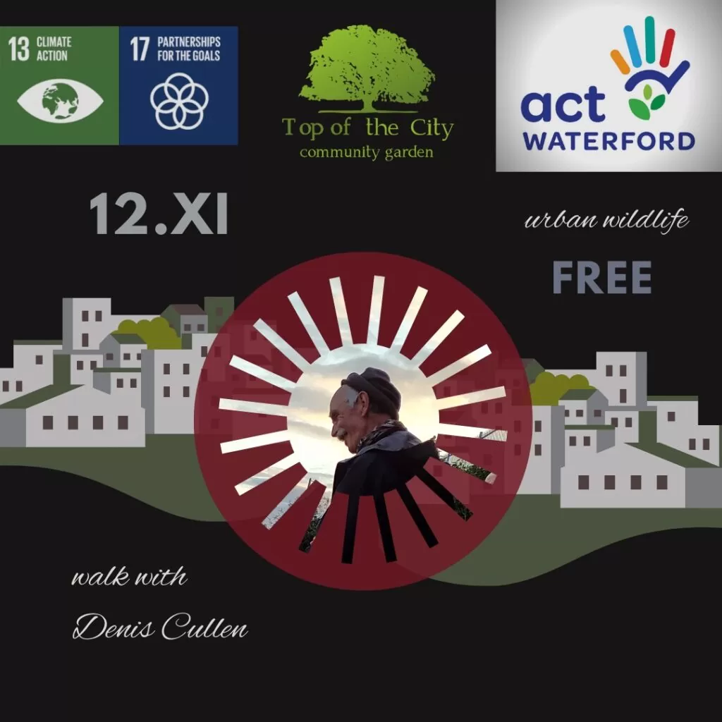 Walk with Denis Cullen