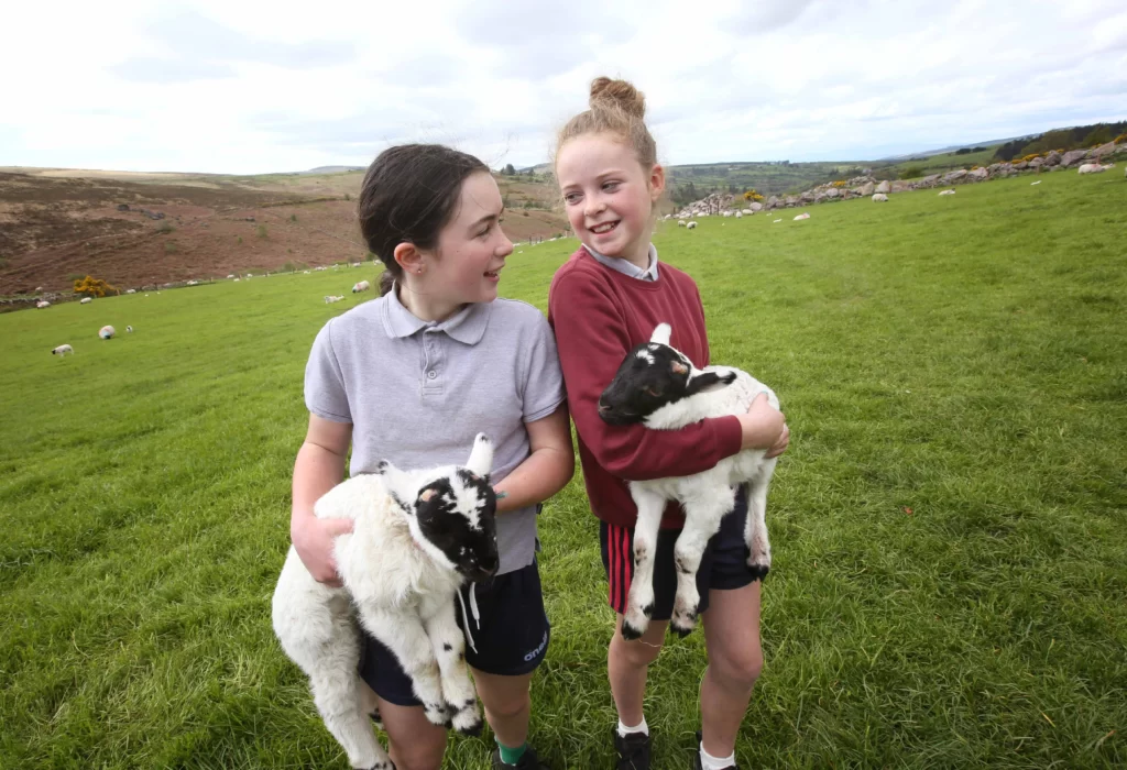Pupils from St. Mary's National School,Co. Waterford on a visit to Shane Whelan’s farm